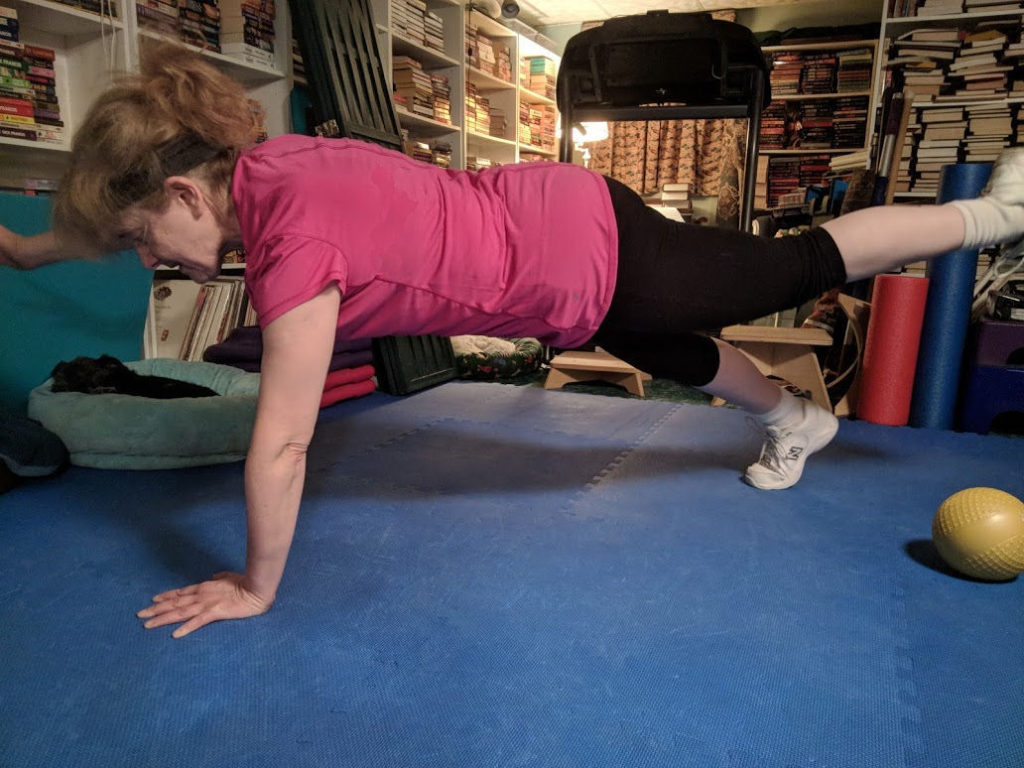 Keep trying - full plank with one arm and one leg.